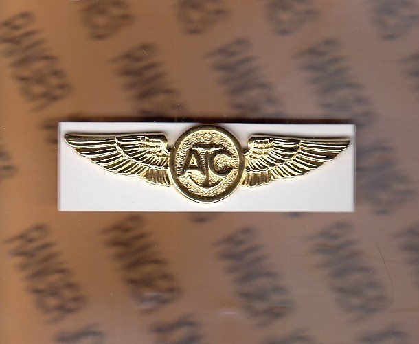 USN Navy Naval Aircrew Warfare Specialist ~3" Aviation fullsized badge c/b V-21