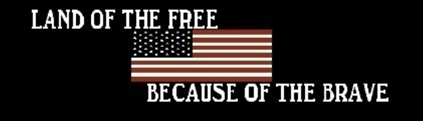 LAND OF THE FREE BECAUSE OF THE BRAVE HELMET STICKER / HARD HAT STICKER