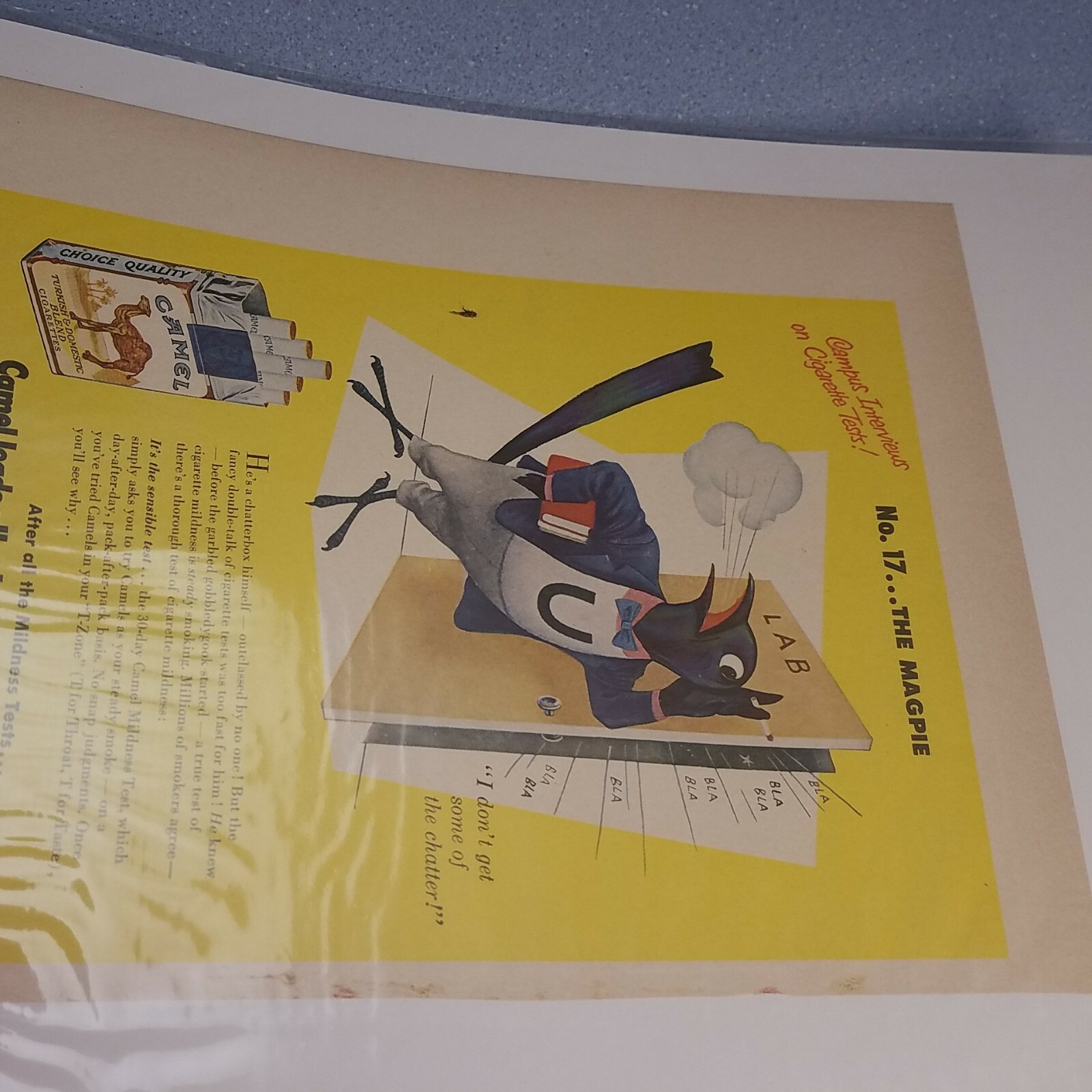 CAMEL CIGARETTES VINTAGE AD 1950's CAMPUS INTERVIEW ON CIGARETTE TESTS NO 17