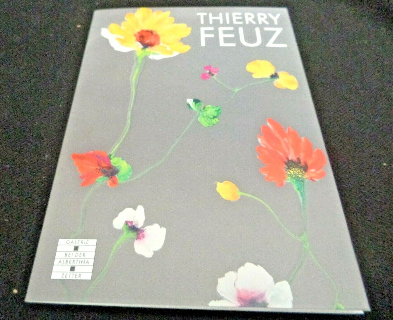 Thierry Feuz Galerie Bei Der Albertina Zetter Paintings Art Gallery Program Show