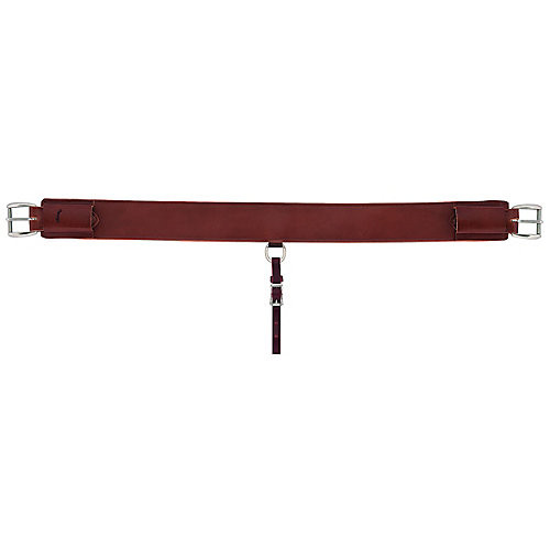 Weaver Heavy-Duty 3in Back Cinch