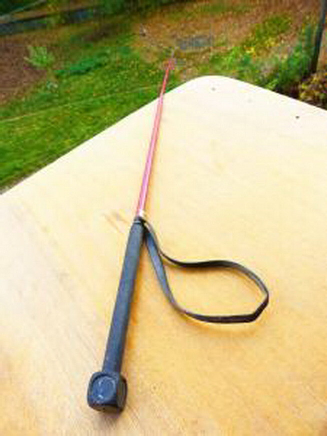 Vintage Whip / lash for your horse :) Germany