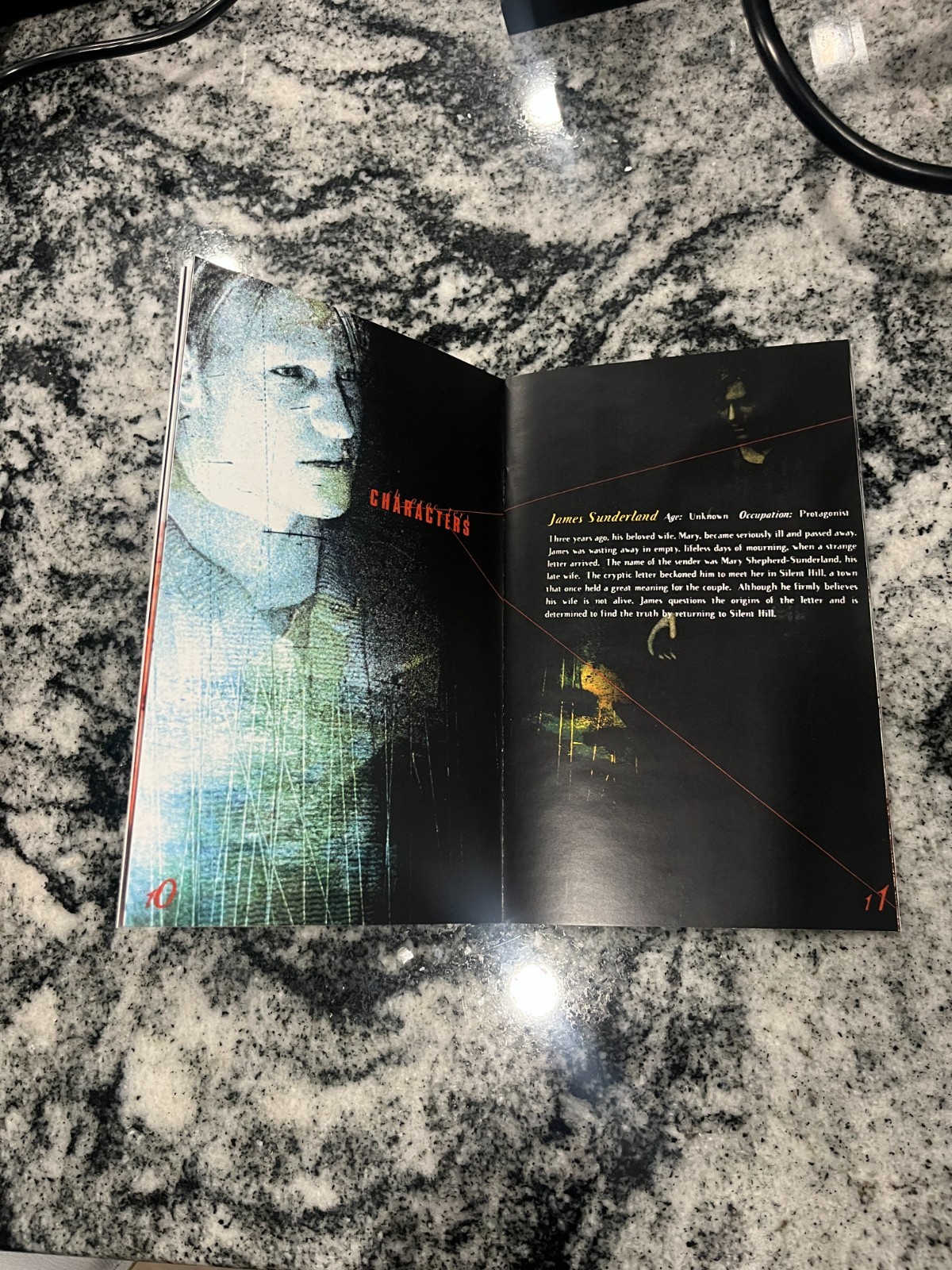 Replacement Manual for - Silent Hill 2 - Sony PS2 Instruction Booklet