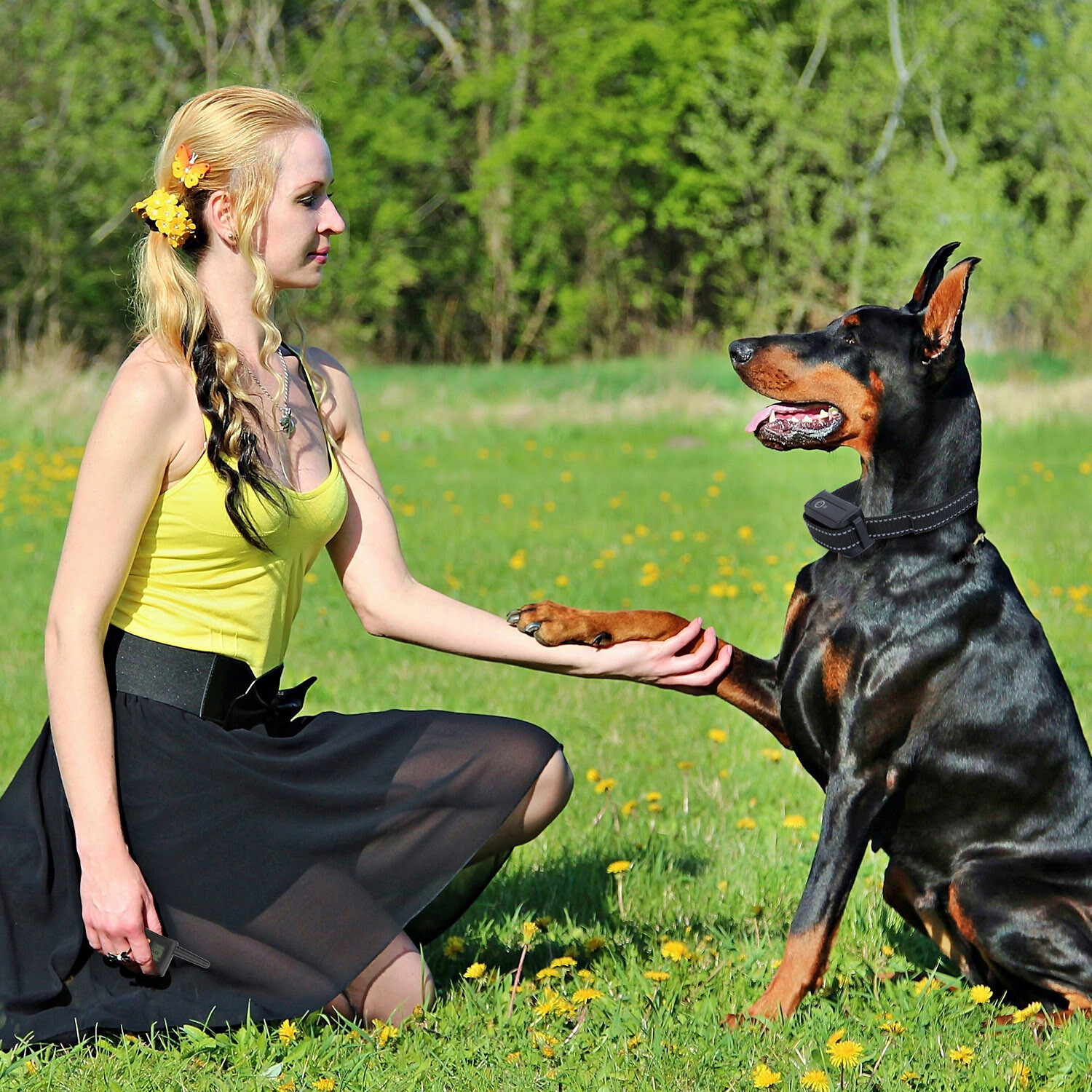 1640FT Dog Training Collar Rechargeable Remote Shock PET Waterproof Trainer