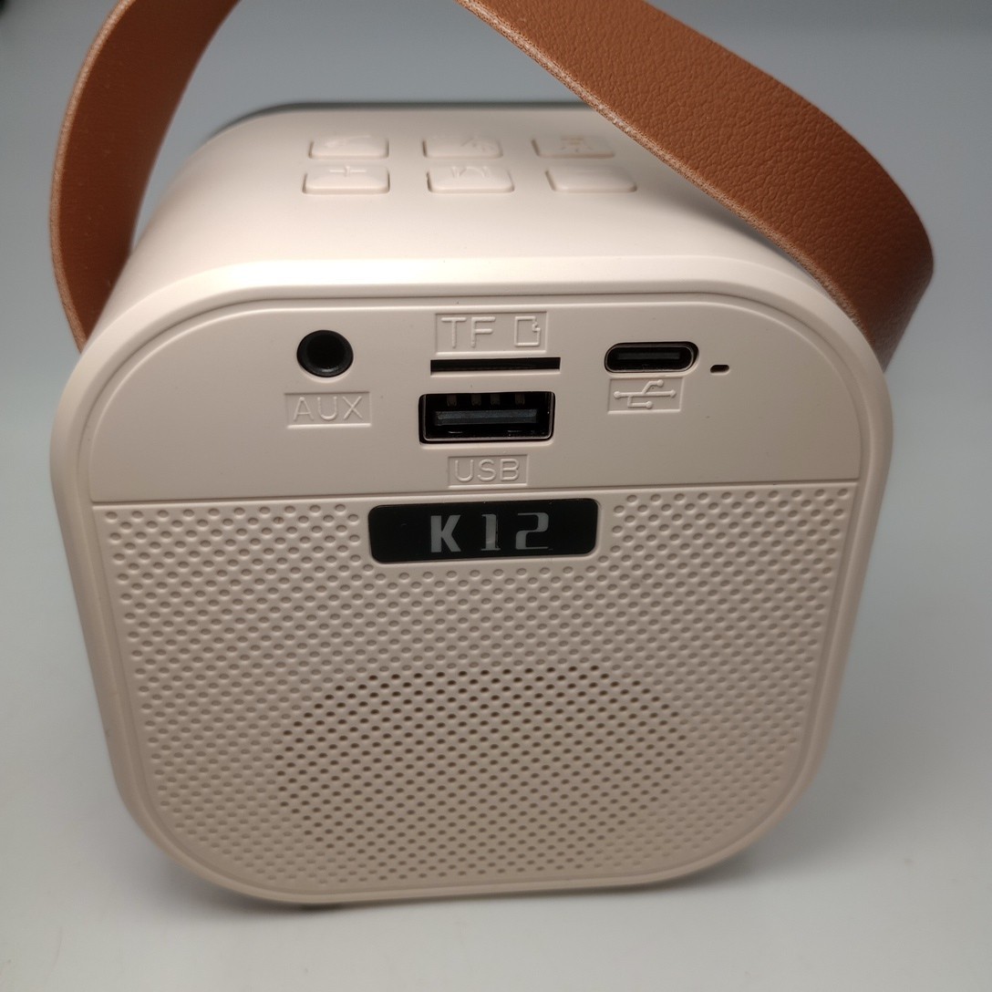 Mini Karaoke Machine Portable Bluetooth Speaker with 2 Wireless Microphones READ