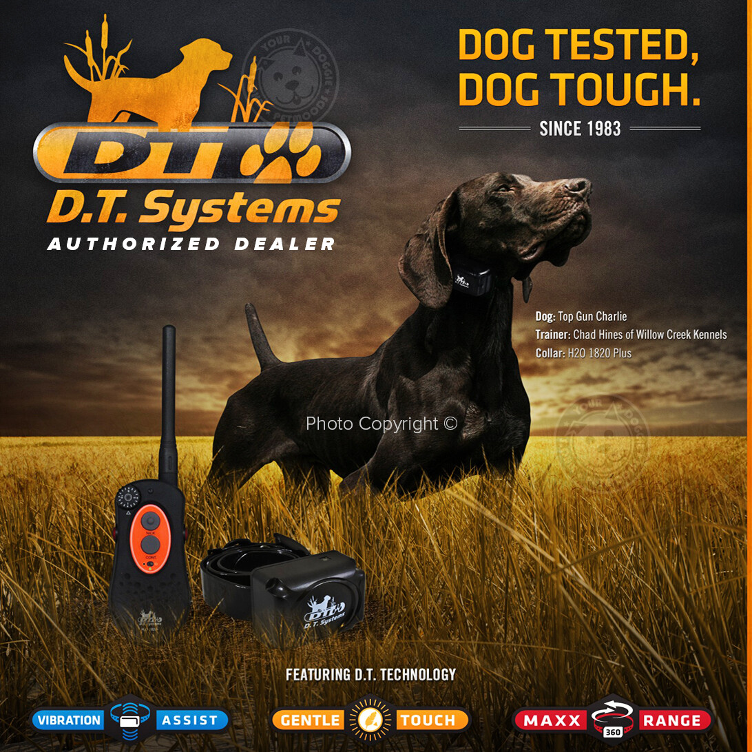 DT Systems H2O 1820 PLUS Expandable Dog Remote Trainer