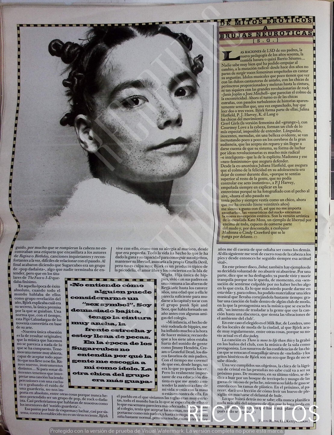 CLIPPINGS 208 BJORK