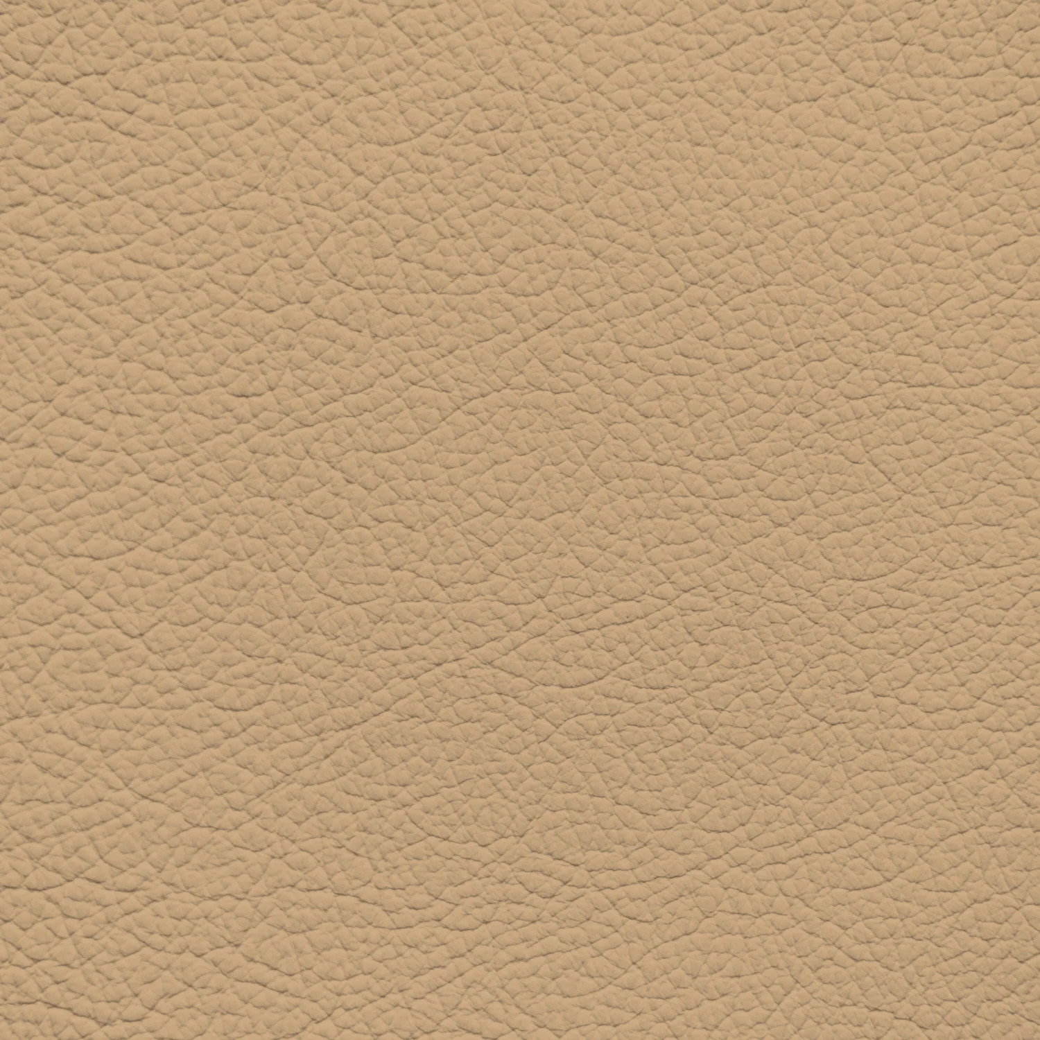Infiniti Camel Leather Dye
