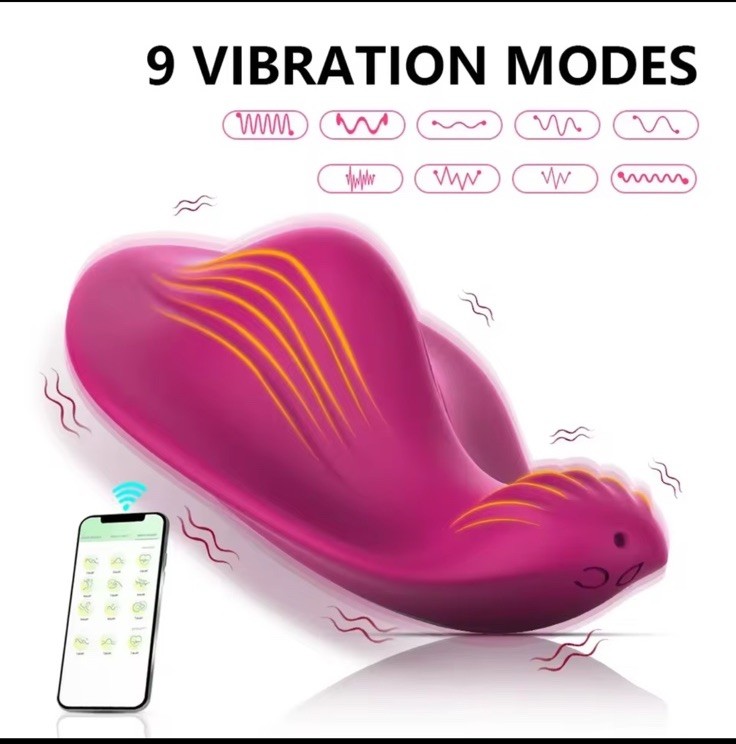 Rechargeable Intimate Personal Massager 9 Vibration Modes App Control
