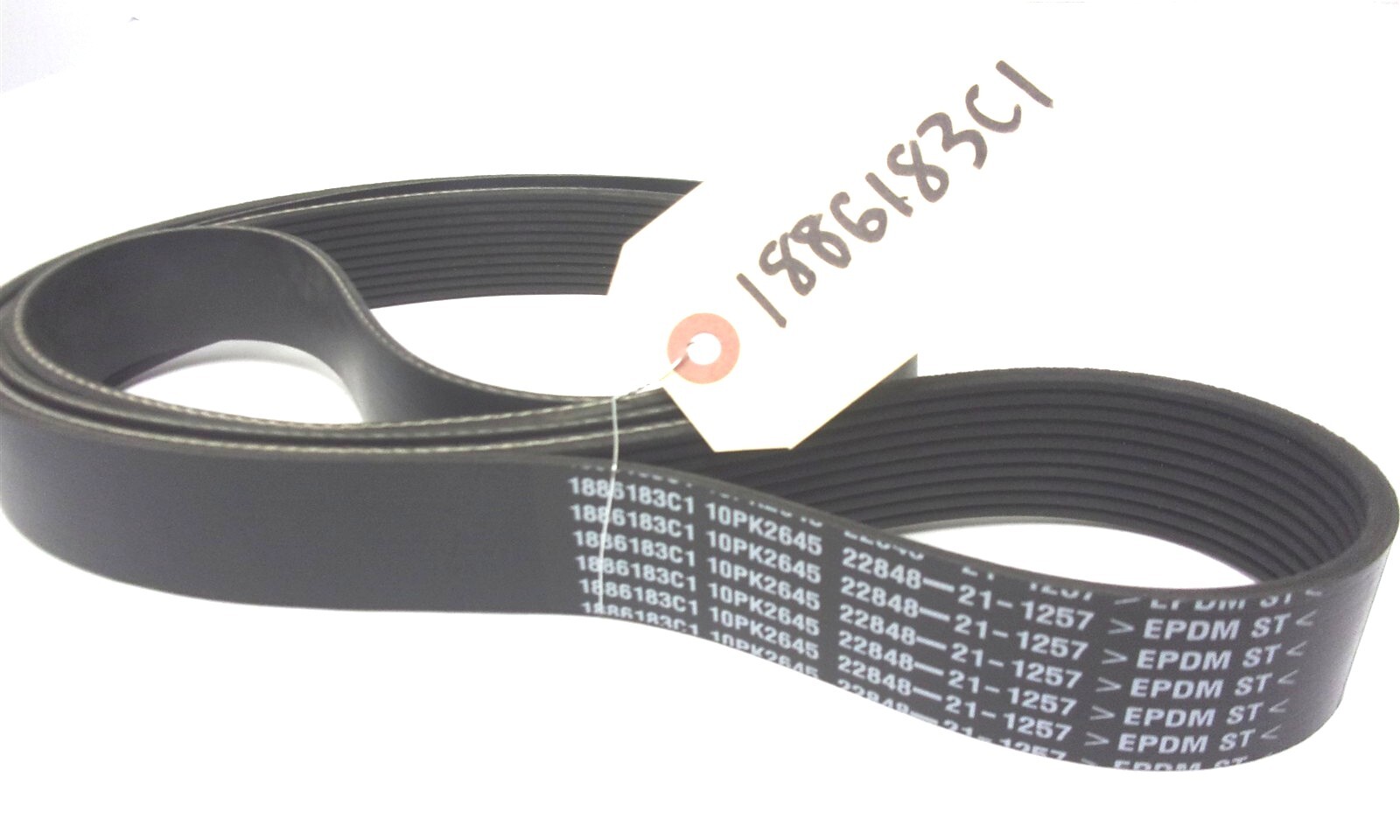 1886183C1 NEW FLEETRITE INTERNATIONAL SERPENTINE V-BELT 10PK2645
