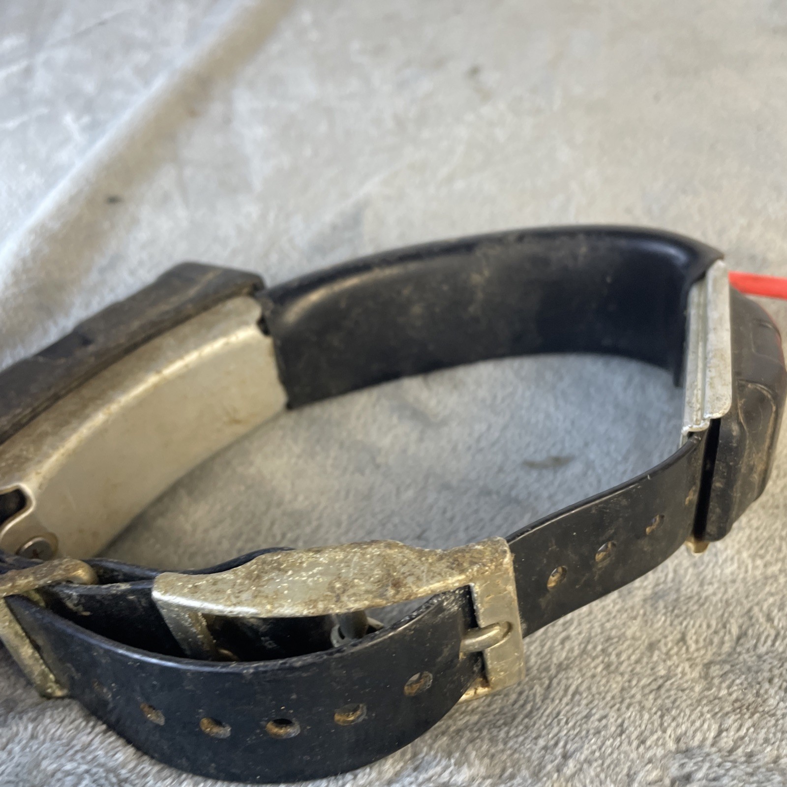 Garmin DC 30 Dog Tracking Collar