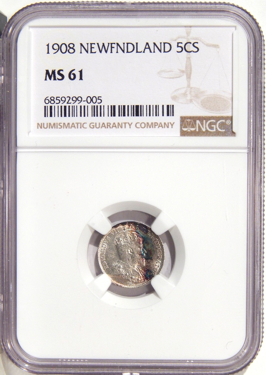 1908 NEWFOUNDLAND 10c NGC MS 61 ~ ATTRACTIVE SILVER FIVE CENTS