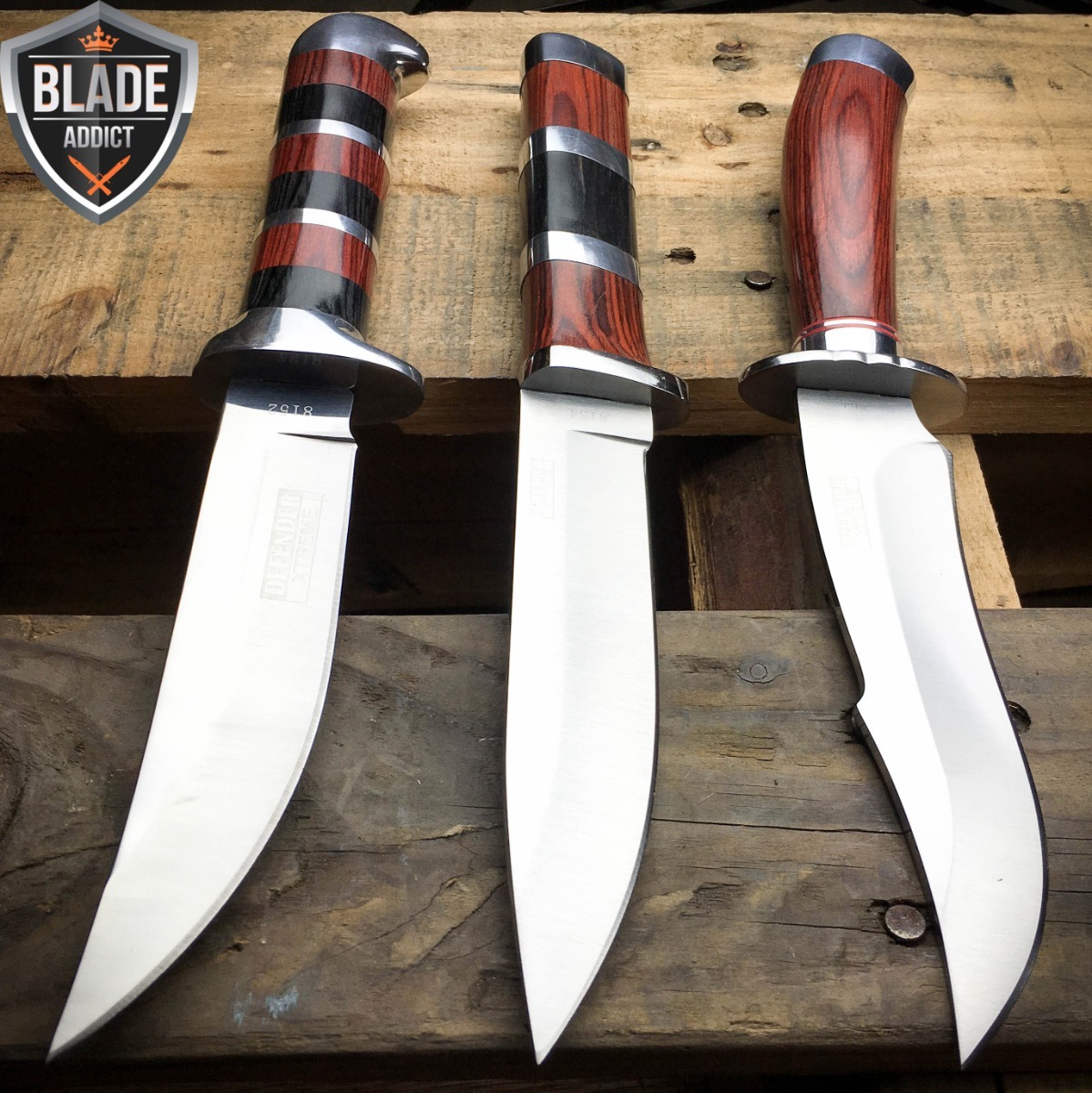 3PC 10" Hunting Survival Skinning Bowie KNIFE Camping Fishing Blade + Sheath NEW