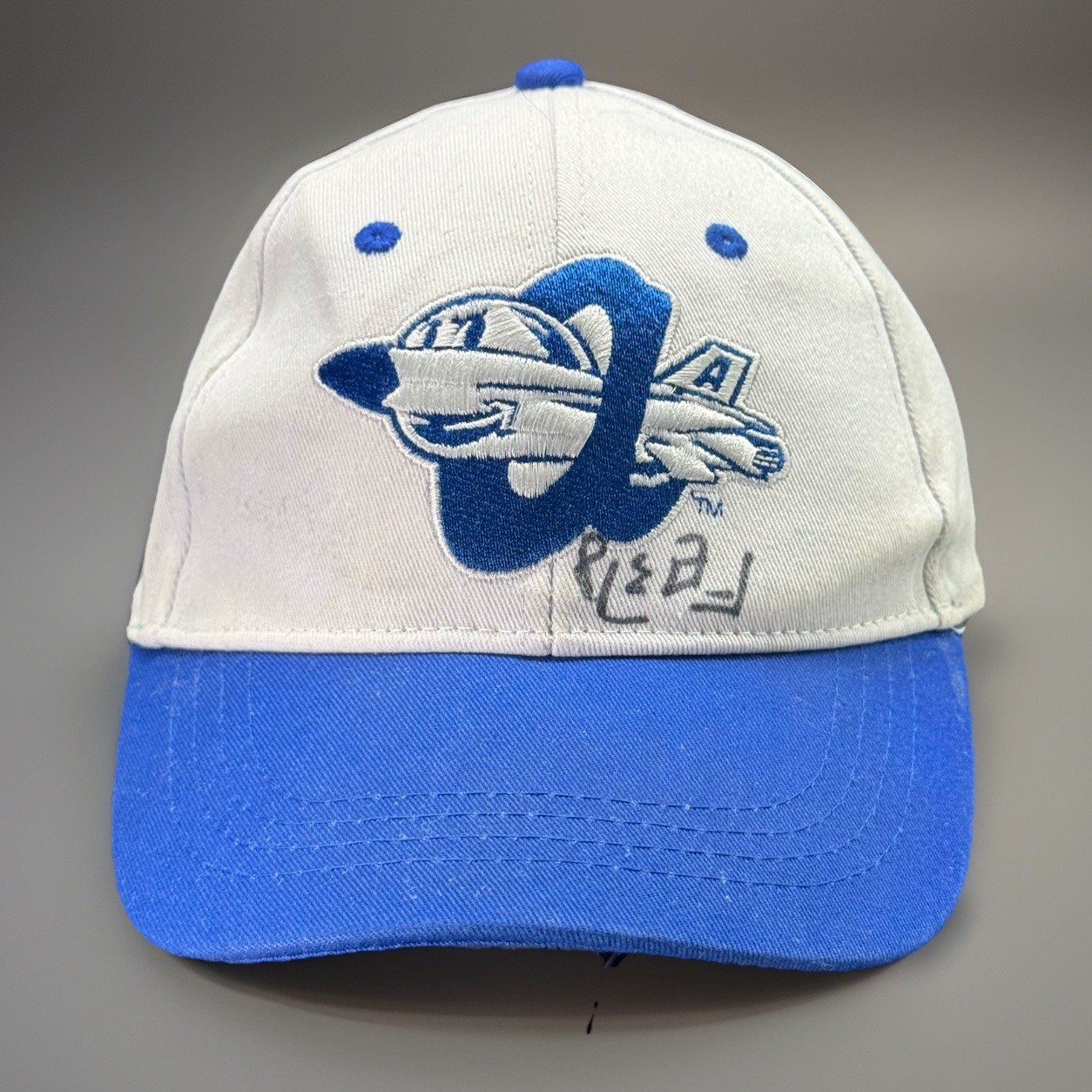 Aberdeen Ironbirds Baseball Hat Minor League Baseball MiLB Strapback Autograph
