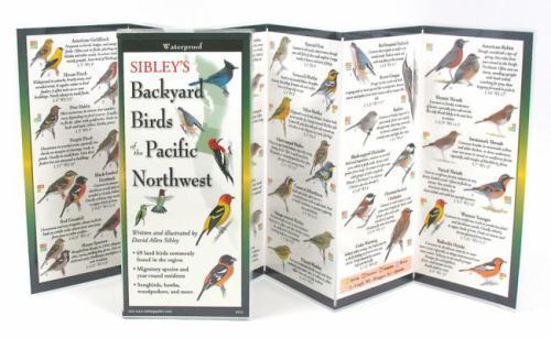Sibley's Backyard Birds of Pacific Northwest (Poster)