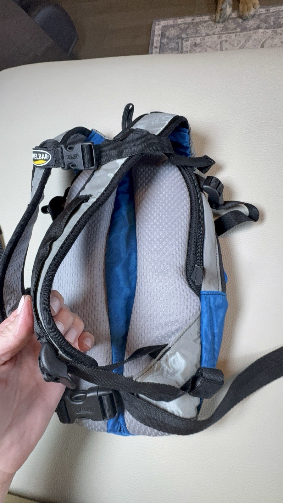 Camelback Mini Mule *No Reservoir Included*