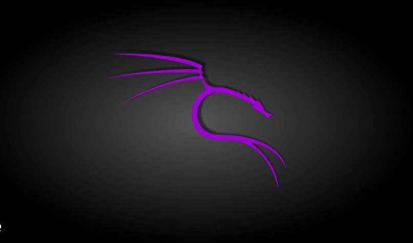 Kali Purple 2025.2 DVD Installer – Cybersecurity’s Ultimate Toolkit