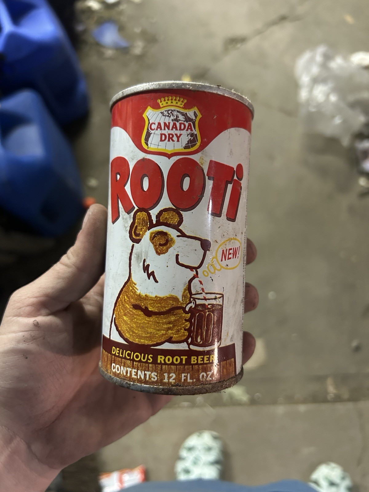 Vintage 1960s Canada Dry Rooti Root Beer Can 12oz Steel Open Eyes Bear Rare Pop