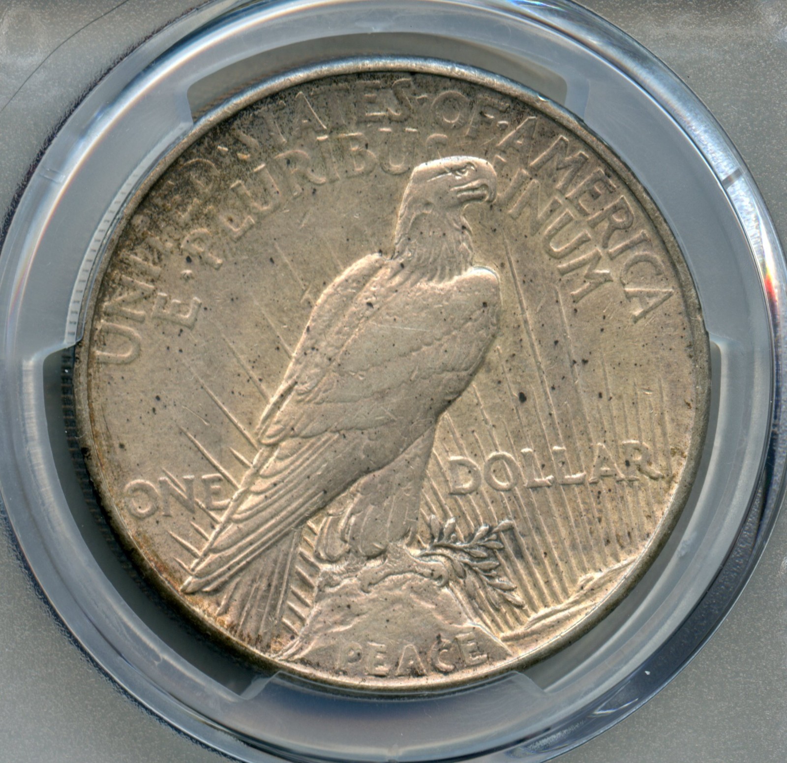 1921 Peace Silver Dollar PCGS AU 55