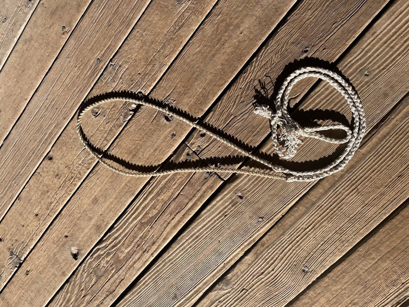 8' 2”Braided Two Strand TeamRope-  Roping Reins - LightBlue