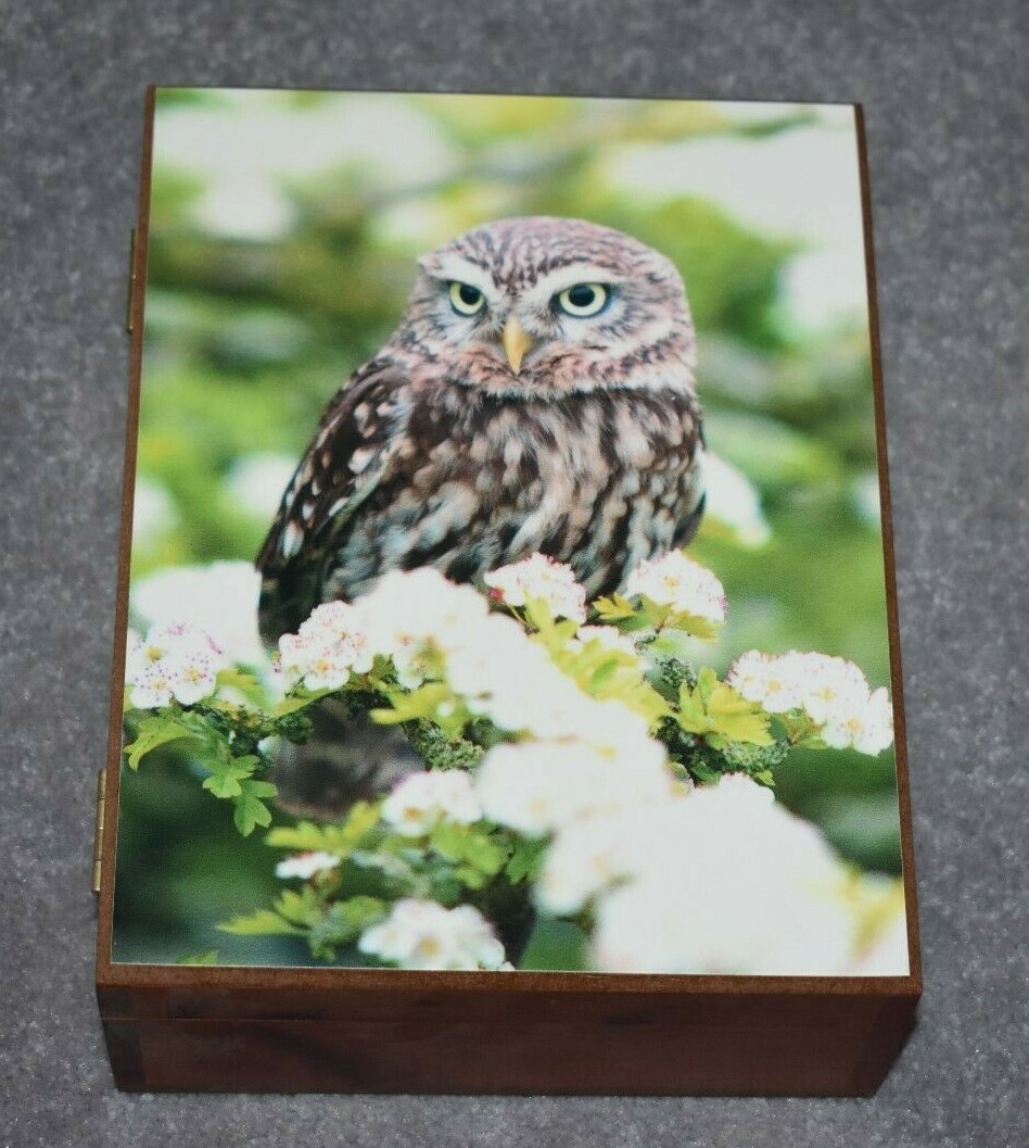 #4657 OWL KEEPSAKE JEWELRY HOME DECOR WOOD CEDAR BOX