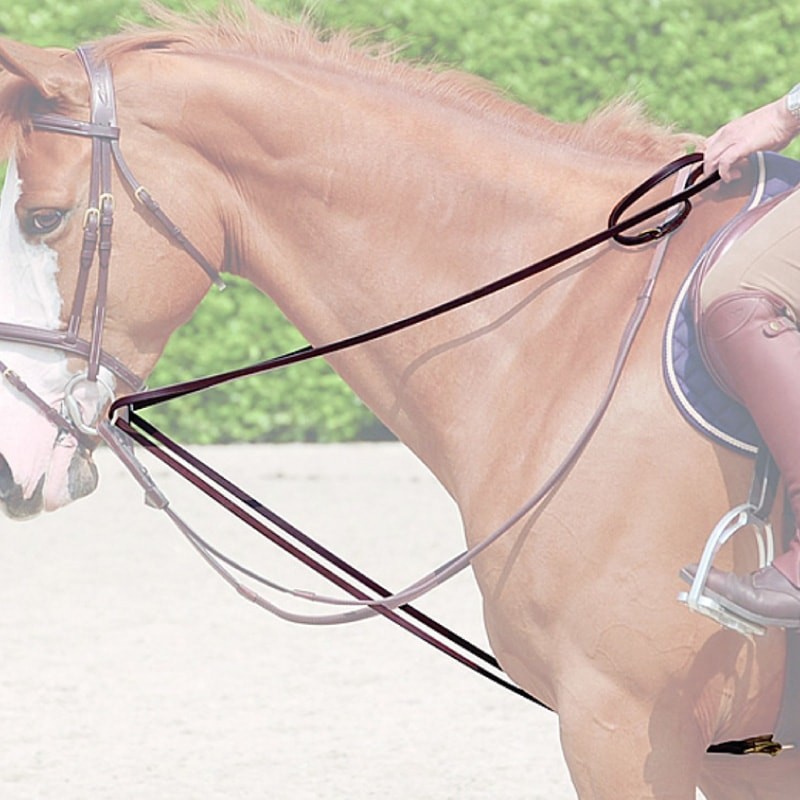 Dion Leather Draw Reins