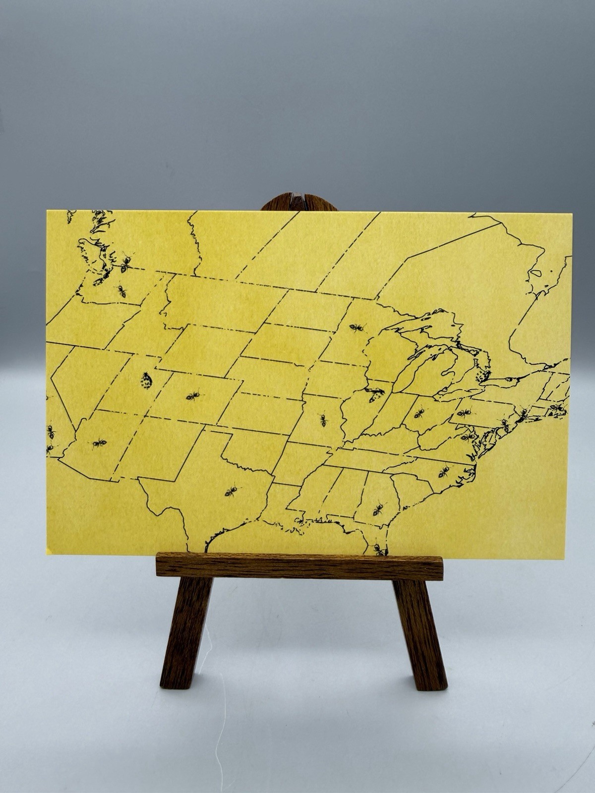 Noah Kahan - The Great Divide Postcard - New
