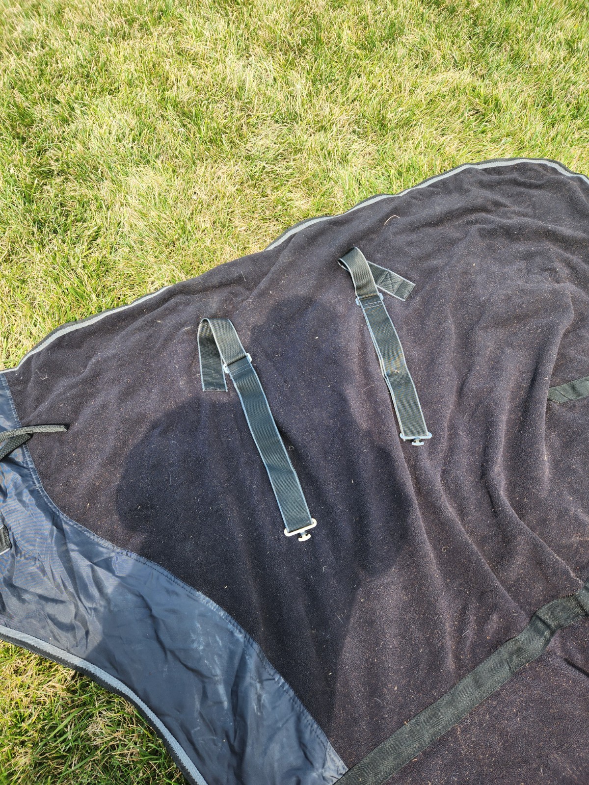 2 - 72" Horse Fleece Coolers/Blankets