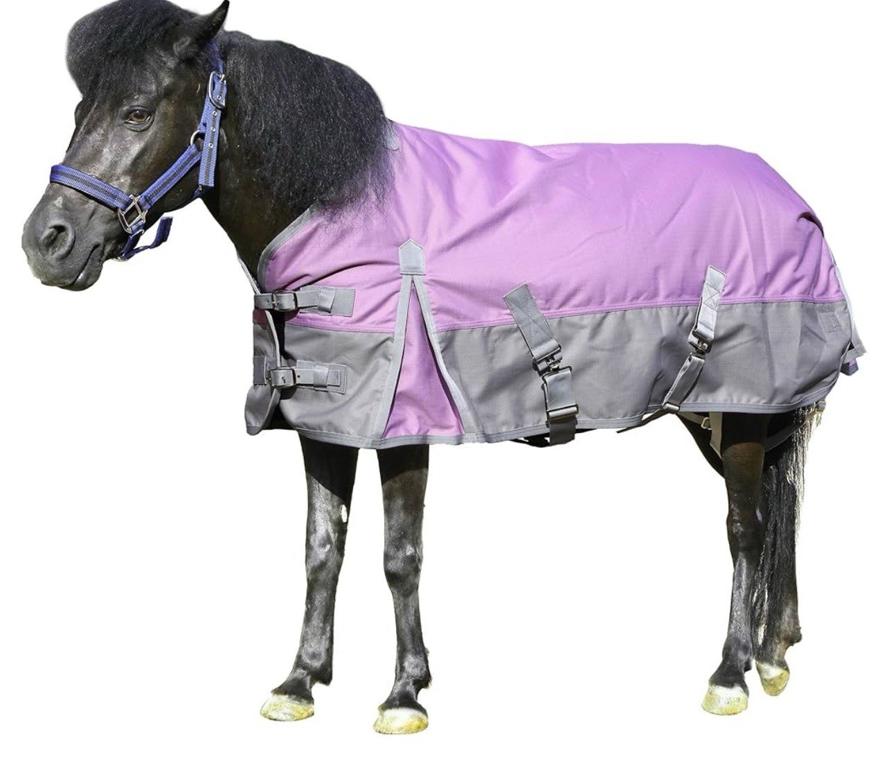 1200D Mini Horse Turnout Waterproof Med Weight Winter Blanket 200g