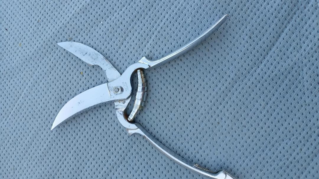 Wiss Germany #1309 Chrome Poultry Shears with Toggle Lock 9"