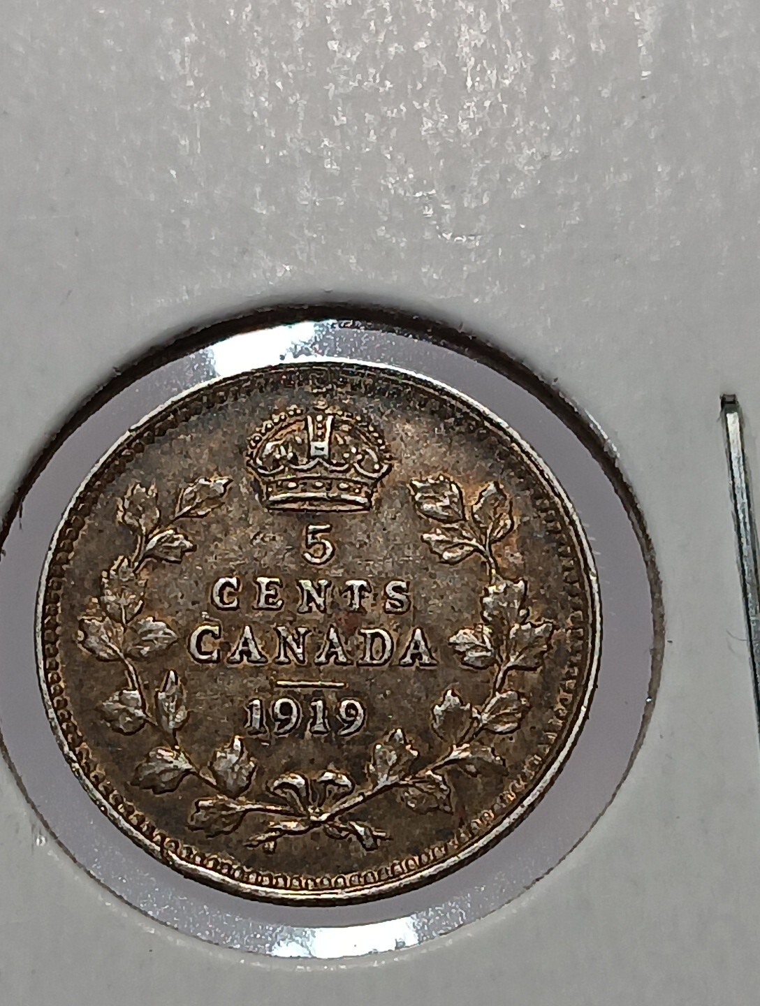 1919  CANADA  SILVER 5 CENTS  Stunning Eye Appeal  l J/463