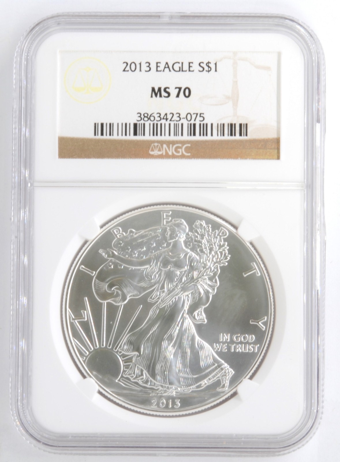 US 2013 American Silver Eagle 1 Ounce .999 Fine Coin NGC MS70 Brown Label