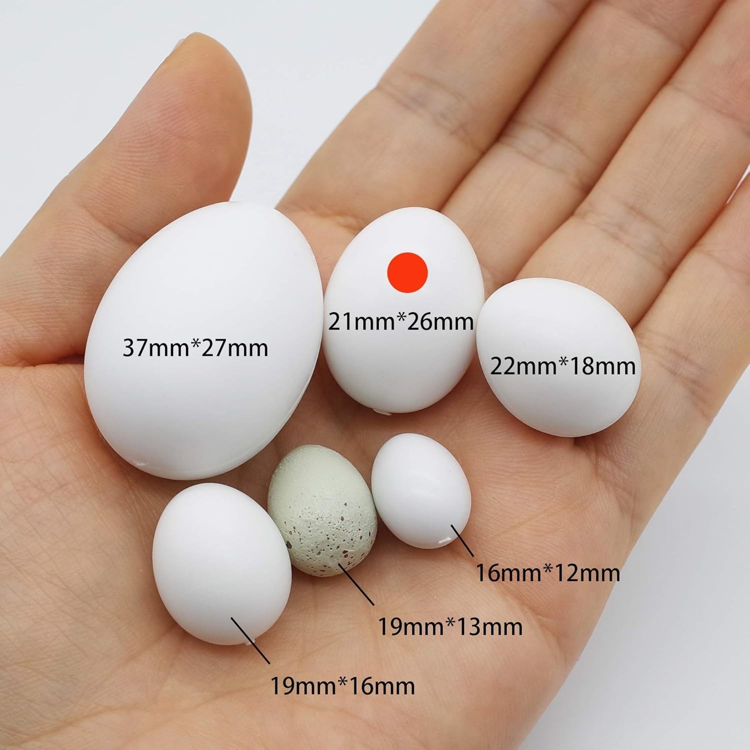 8 pcs Parrot & Bird Reproduction Dummy Eggs - Realistic Plastic Hatching Eggs