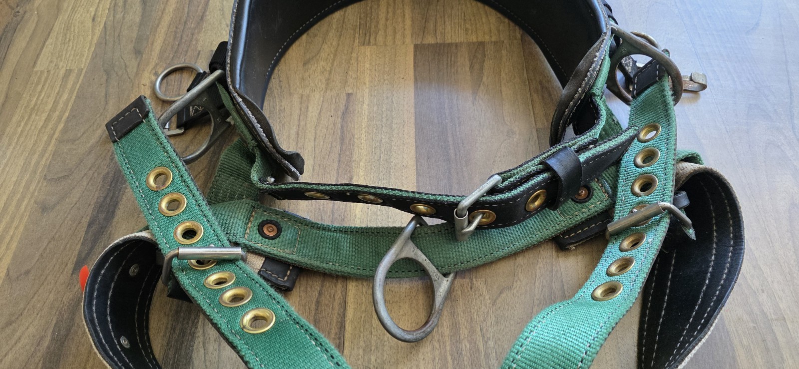 Buckingham Harness