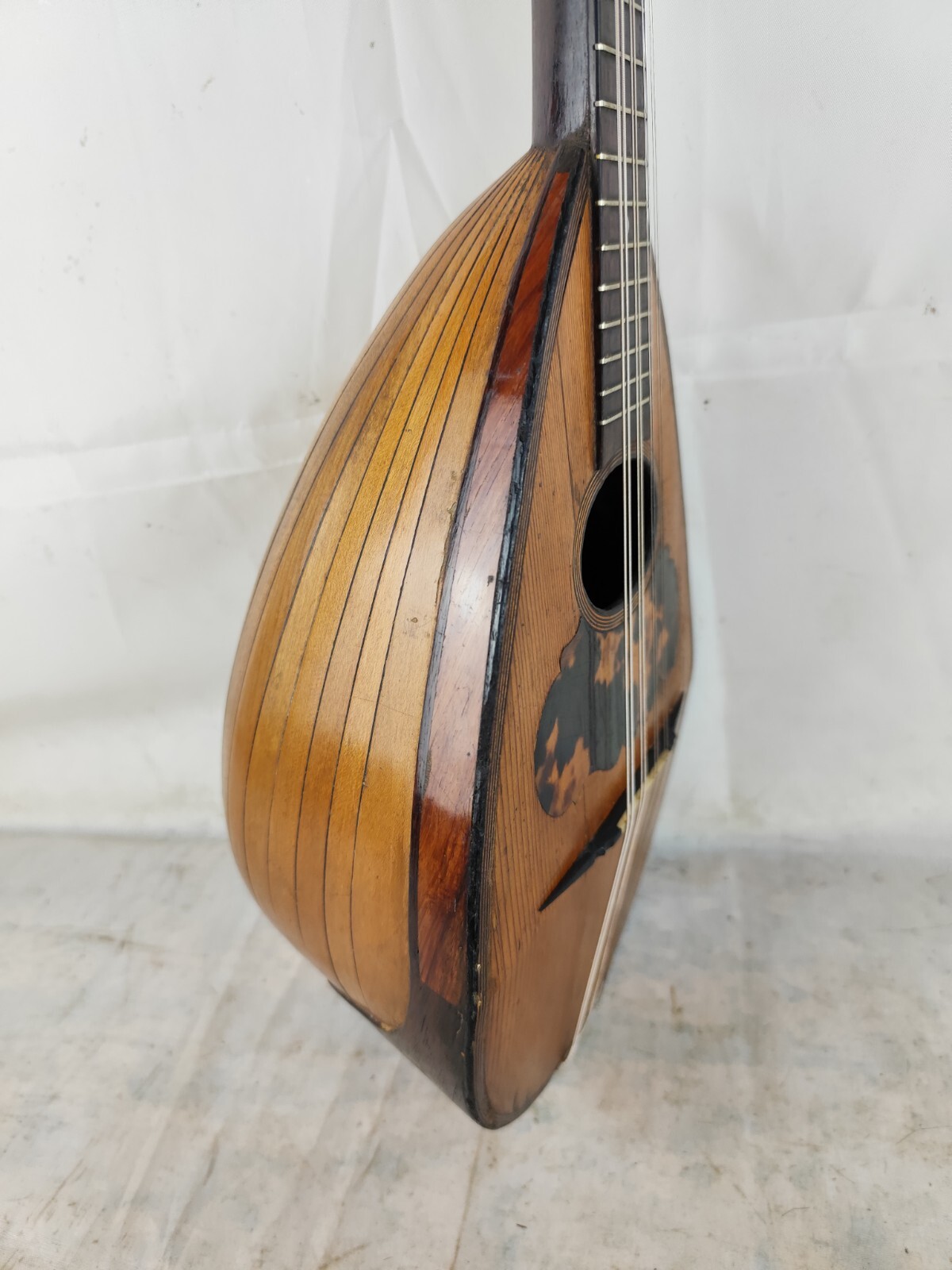 Mandolin 4/4 C. V. Carabba 1850 Catania 曼陀林 만돌린マンドリン