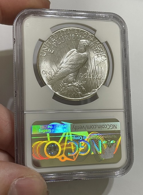 U.S. - 1925 Large Silver Peace Dollar (NGC MS 63) - Nice