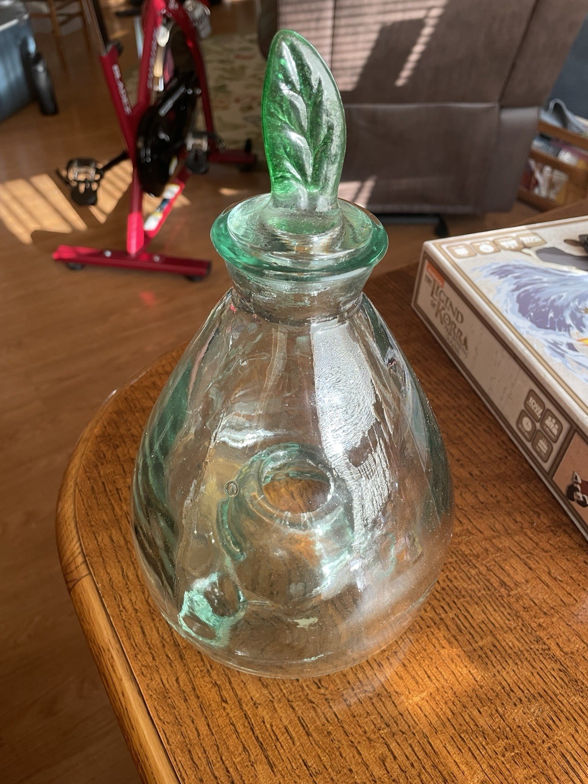 Vintage Green Glass Bug Trap With Leaf Stopper Indoor Outdoor - Made In Spain