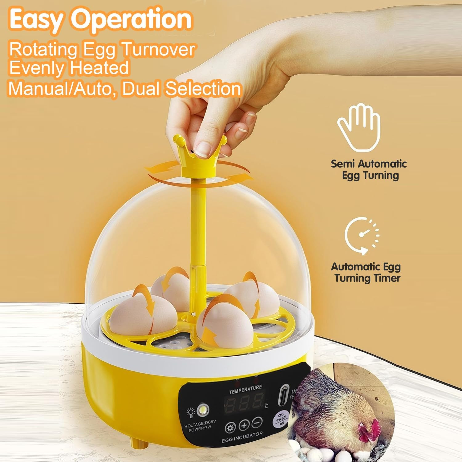 Tissting 4 Eggs Mini Incubator with Transparent Lid,7W Automatic Temperature Hum