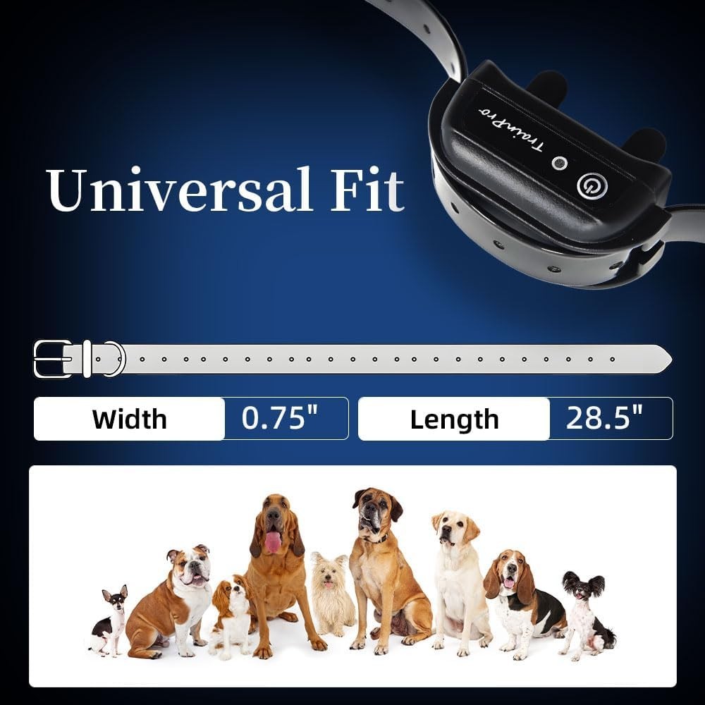 Universal Waterproof Replacement Dog Training Collar Strap - 2-Pack, 27.5”x0.75”