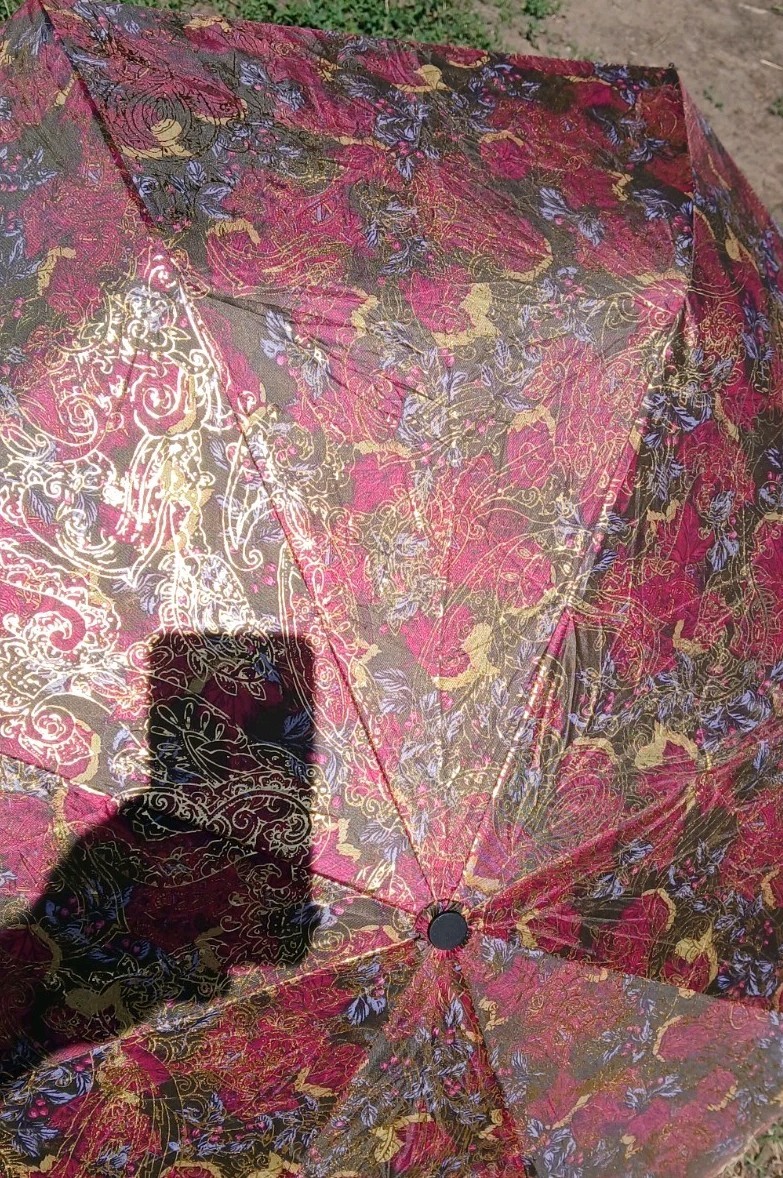 Patricia Nash Umbrella Floral Fall Tones