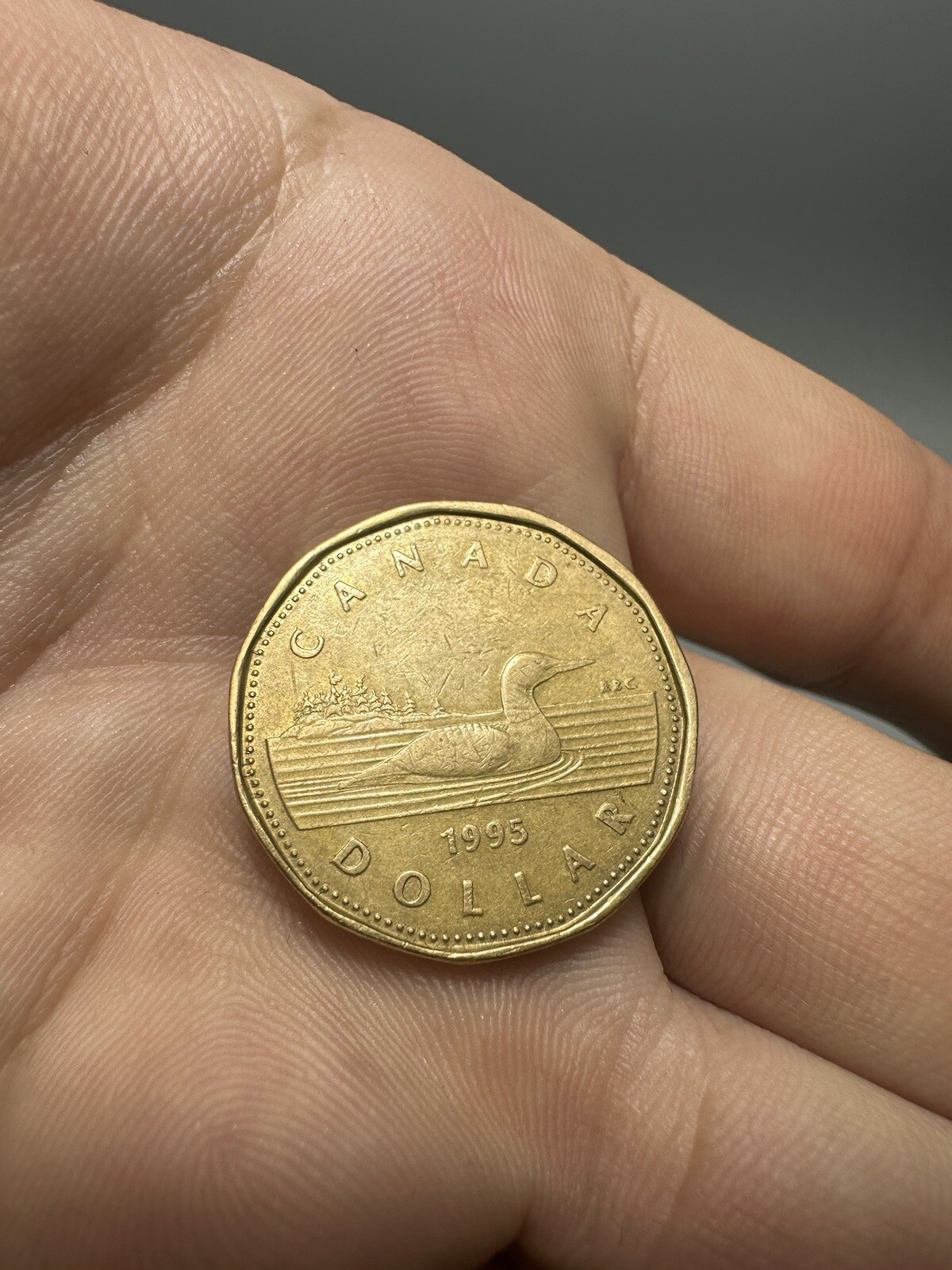 CANADA 1995 1 DOLLAR, LOON LOONIE, UNC Elizabeth ||