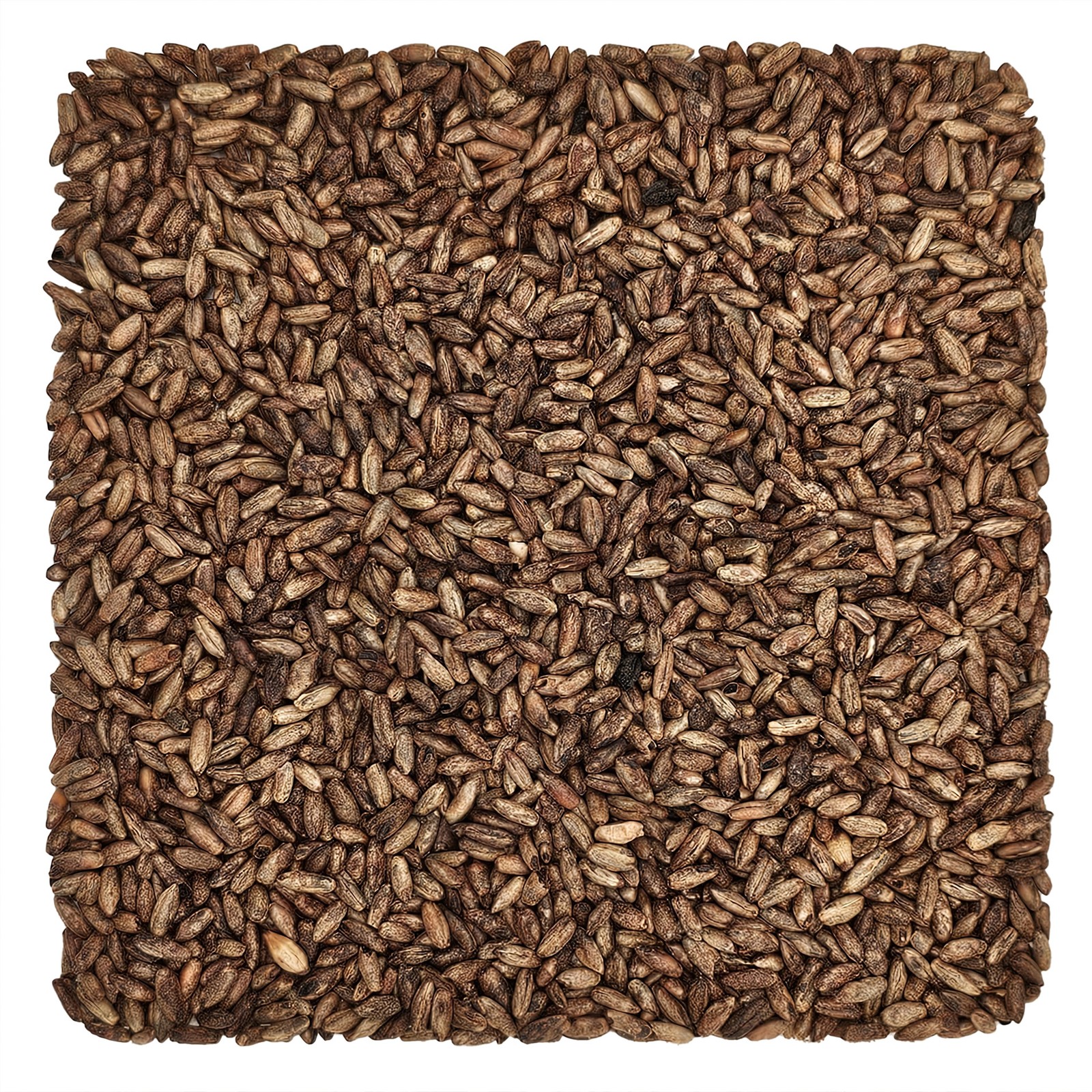 Home Brew Ohio CaraRed Grain 1lb
