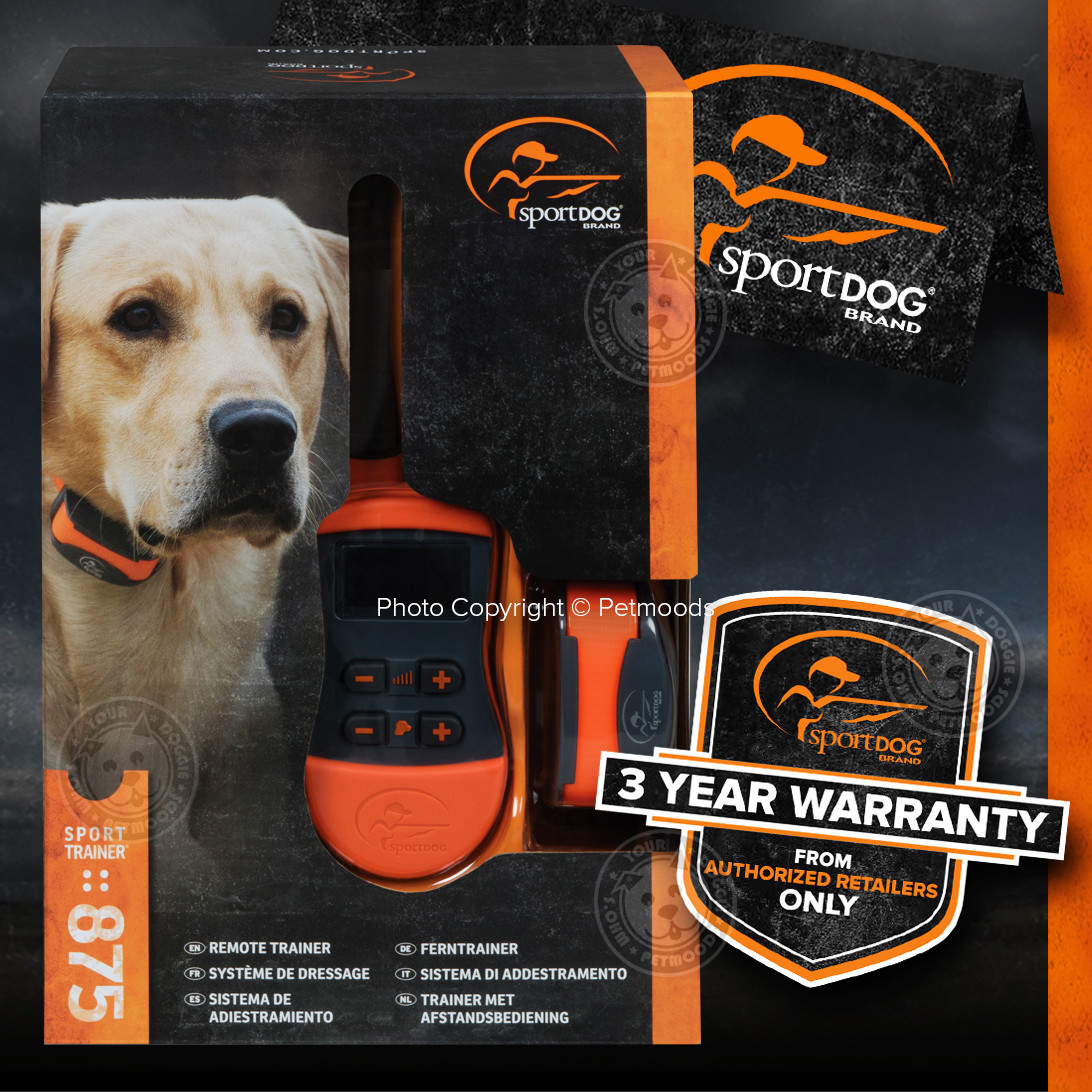 SportDOG SD-875 SportTrainer SD-875E Remote Dog Training Collar Orange 1/2 Mile