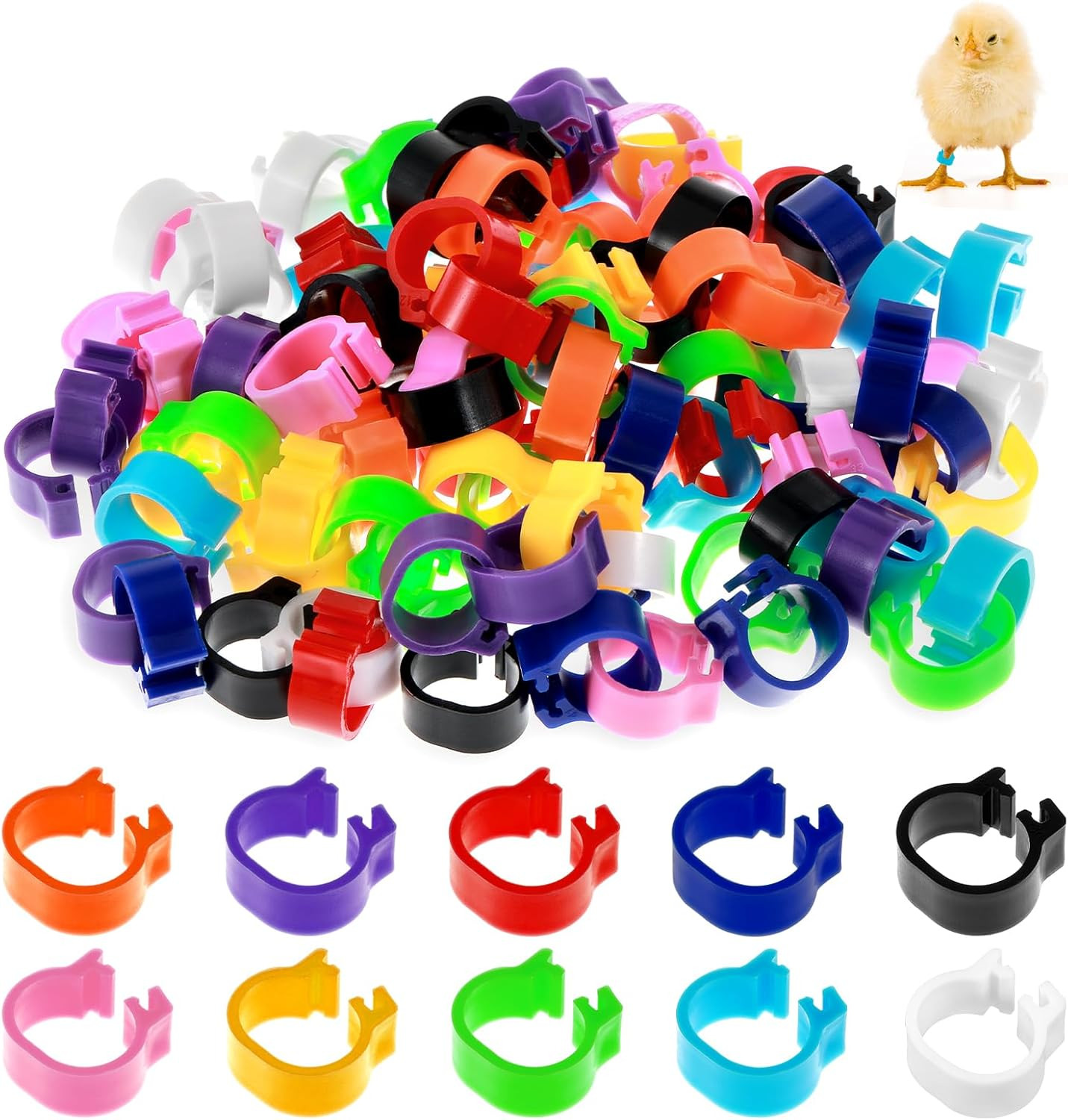 100Pcs 10mm Baby Poultry Leg Bands with 10 Colors Chicken Quail Bird Identifi...