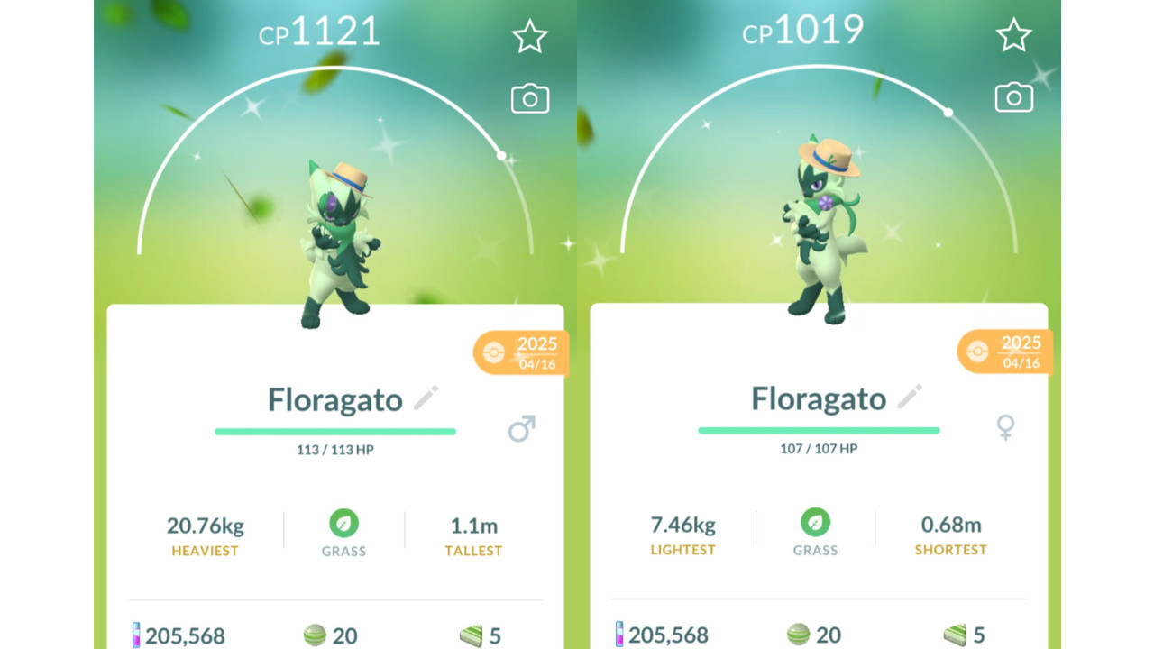 ✨Shiny Floragato (Dazzling Feliospa) Hat Likos Pin Pokemon GO✨ Exchange or PTC