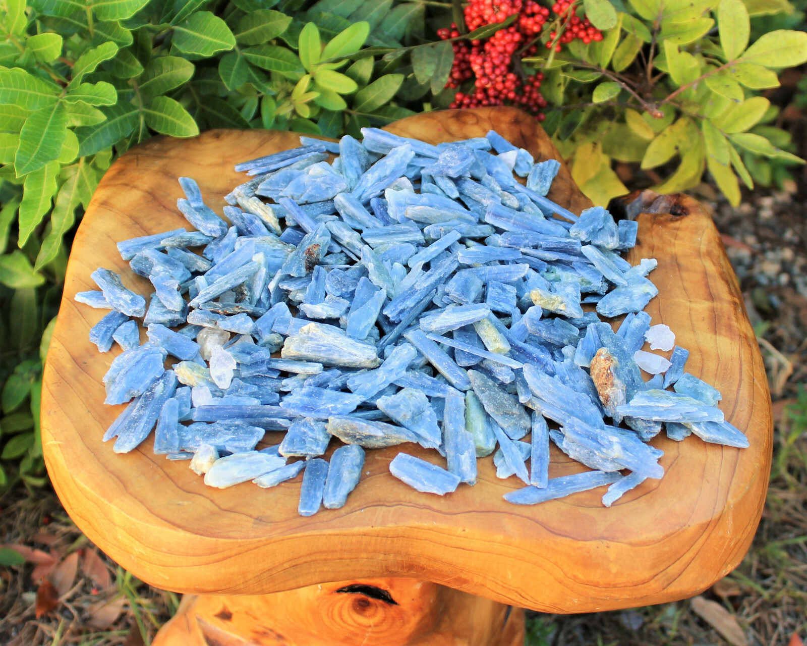 2 lb Bulk Lot Rough Blue Kyanite Blades Natural Pieces Stone Crystals (32 oz)