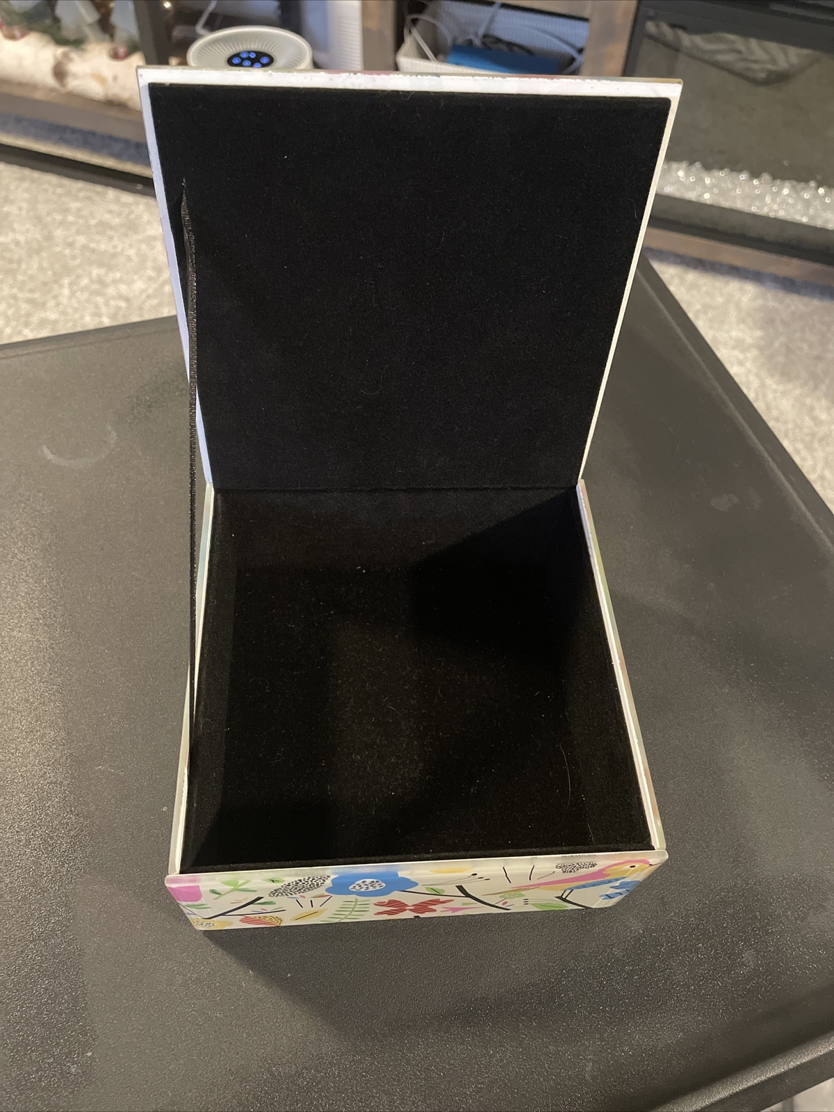 Acrylic Bird box