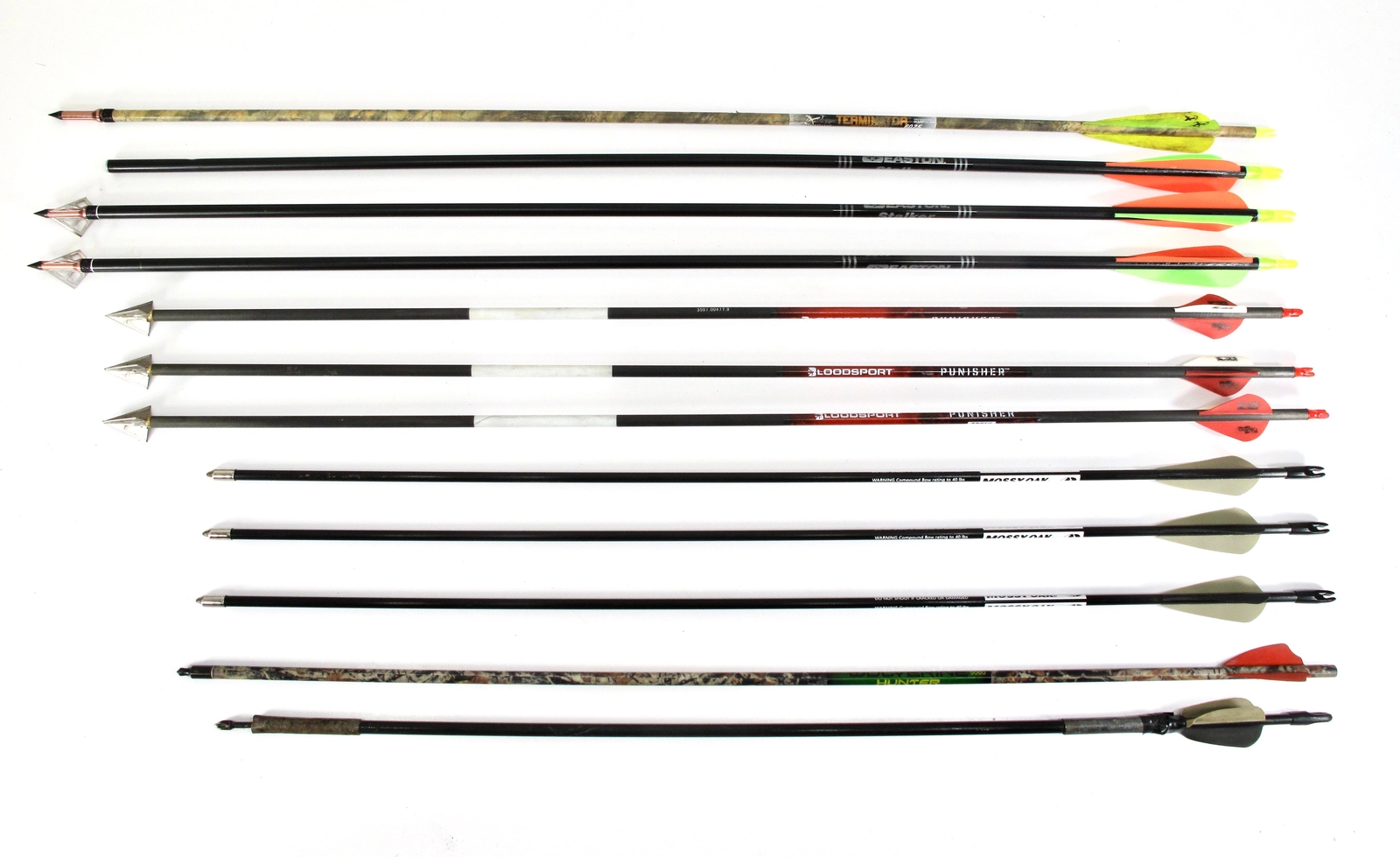 Lot of 12 Terminator, Bloodsport, Easton, Mossy Oak Arrows 27-31" w/ Points