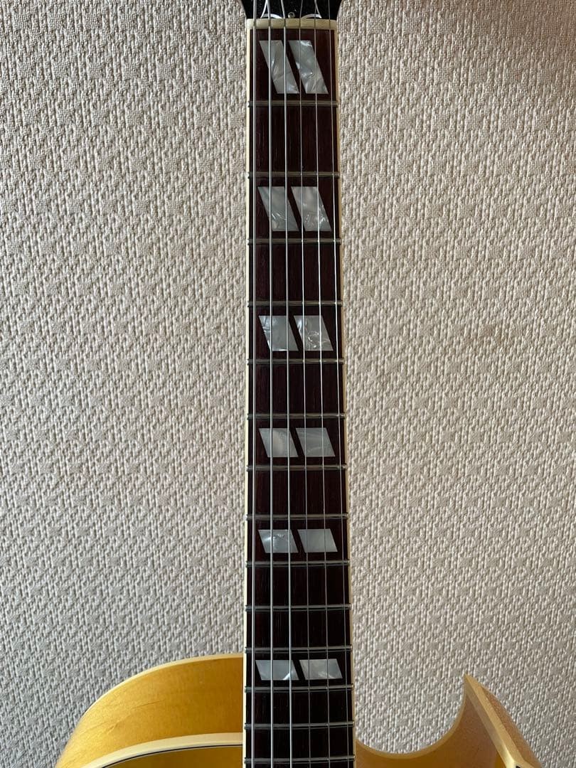 Terada Es175Archtoptribute At-102 Full Aco