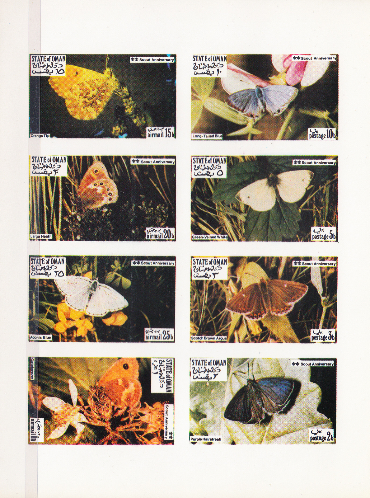 W OMAN STATE ST 020v MS BUTTERFLIES IMPERFORATED MINI SHEET
